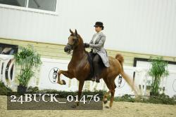 24BUCK_01476 thumbnail