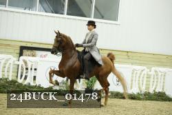 24BUCK_01478 thumbnail