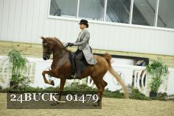24BUCK_01479 thumbnail