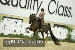 24BUCK_01480 thumbnail