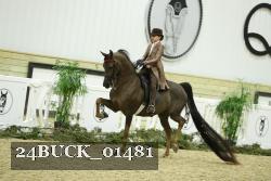 24BUCK_01481 thumbnail