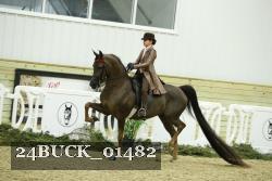 24BUCK_01482 thumbnail