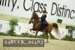 24BUCK_01483 thumbnail