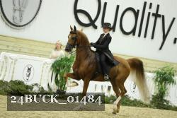 24BUCK_01484 thumbnail