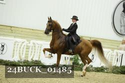 24BUCK_01485 thumbnail