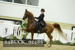 24BUCK_01486 thumbnail