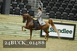 24BUCK_01488 thumbnail