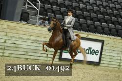 24BUCK_01492 thumbnail