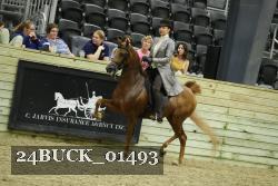 24BUCK_01493 thumbnail