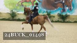 24BUCK_01498 thumbnail