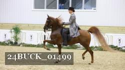 24BUCK_01499 thumbnail
