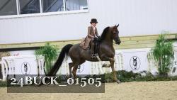 24BUCK_01505 thumbnail