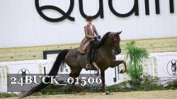 24BUCK_01506 thumbnail