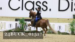 24BUCK_01517 thumbnail