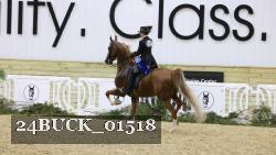 24BUCK_01518 thumbnail