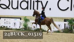 24BUCK_01519 thumbnail