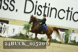 24BUCK_01520 thumbnail