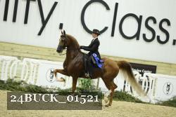 24BUCK_01521 thumbnail