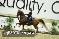 24BUCK_01522 thumbnail