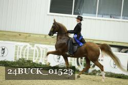 24BUCK_01523 thumbnail