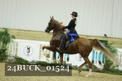 24BUCK_01524 thumbnail