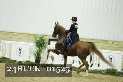 24BUCK_01525 thumbnail