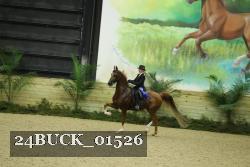 24BUCK_01526 thumbnail