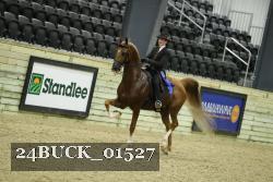 24BUCK_01527 thumbnail