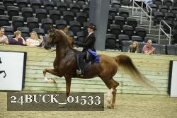 24BUCK_01533 thumbnail