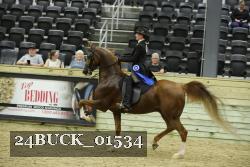 24BUCK_01534 thumbnail