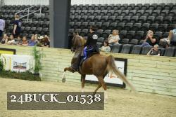24BUCK_01538 thumbnail
