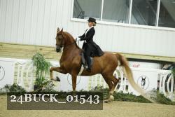 24BUCK_01543 thumbnail