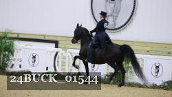 24BUCK_01544 thumbnail