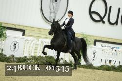 24BUCK_01545 thumbnail