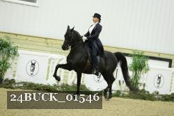 24BUCK_01546 thumbnail