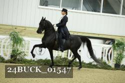 24BUCK_01547 thumbnail