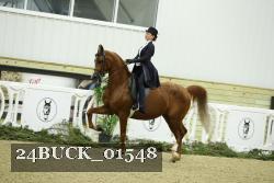24BUCK_01548 thumbnail