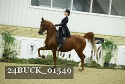24BUCK_01549 thumbnail