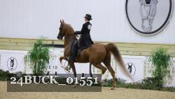 24BUCK_01551 thumbnail