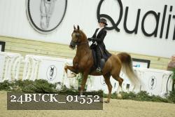 24BUCK_01552 thumbnail