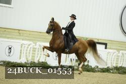 24BUCK_01553 thumbnail