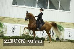 24BUCK_01554 thumbnail