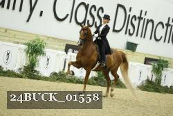 24BUCK_01558 thumbnail
