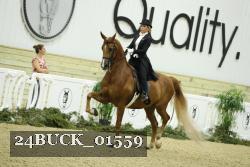 24BUCK_01559 thumbnail