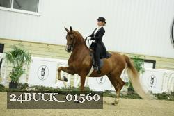 24BUCK_01560 thumbnail