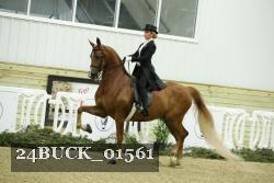 24BUCK_01561 thumbnail