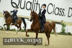 24BUCK_01565 thumbnail