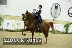 24BUCK_01566 thumbnail
