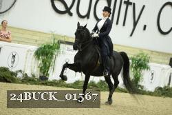 24BUCK_01567 thumbnail