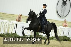 24BUCK_01568 thumbnail